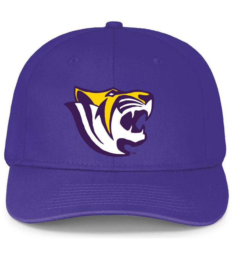 Benedict College Gameday Cap
